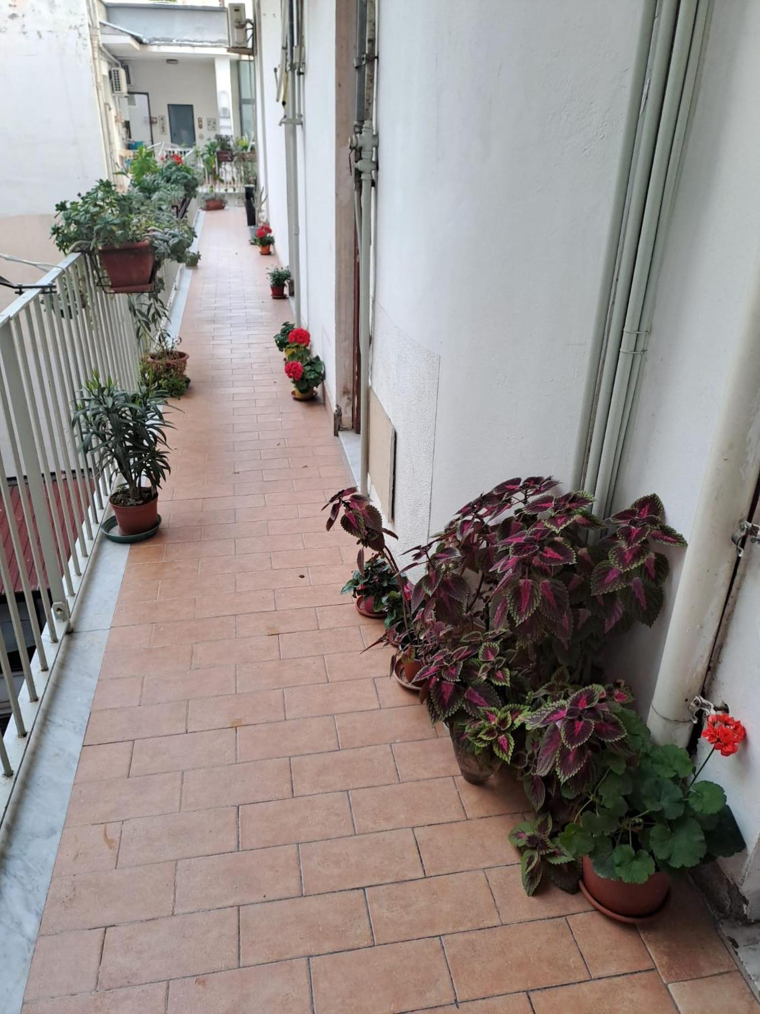 B&B Domus Pina Катания Экстерьер фото
